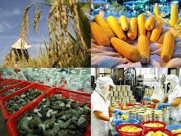 Crecen exportaciones agro-silvícolas y acuáticas de Vietnam